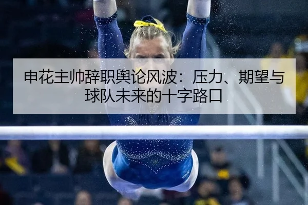 申花主帅辞职舆论风波：压力、期望与球队未来的十字路口
